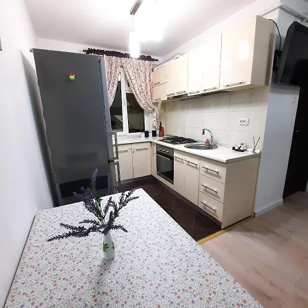 Apartament Kepa Din Piatra Neamt Exterior photo